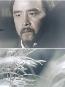 雪花神剑：若冰若水