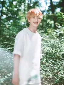 BTS：忙内恋爱笔记