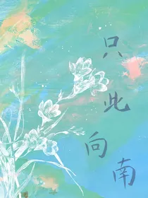 只此向南