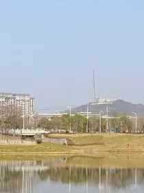一夜之后，我怀了风流王爷的崽