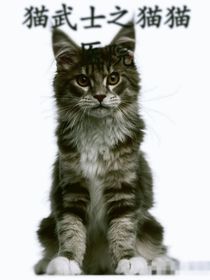 猫武士之猫猫医院