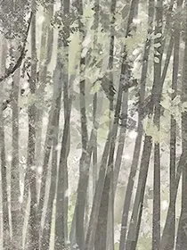 你知道我的名字吗