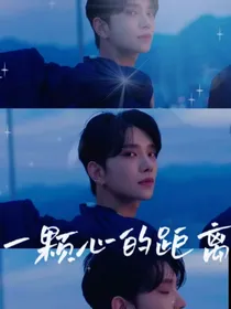 洪知秀：一颗心的距离