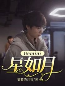 Gemini：星如月