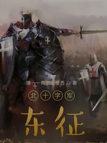 北十字军东征