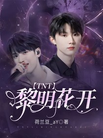 TNT：黎明花开