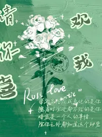 北上往来（请你喜欢我）