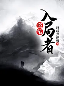 盗笔：入局者