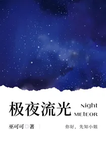 HP：极夜流光