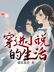 穿进小说的生活