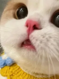 大型家庭连续剧