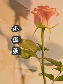 小倔强