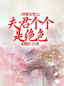 穿越女尊之夫君个个是绝色