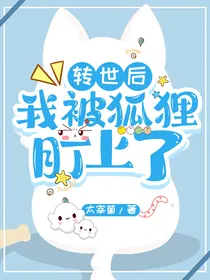 转世后我被狐狸盯上了