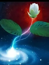青莲穿越记