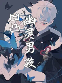 凹凸幽灵男孩