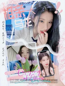 seventeen：相亲大乌龙