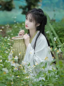快穿：娇弱美人稳君怀