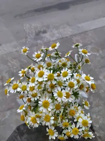 终极一家之先爱了我自己
