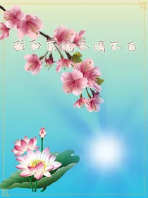 我与系统不清不白