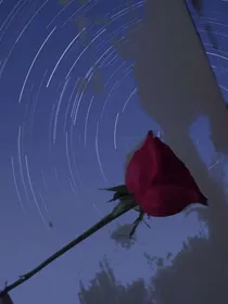 Ai纪——源