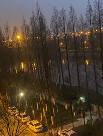 禮的随笔小故事-d278