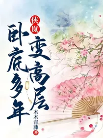 侠岚：卧底多年变高层