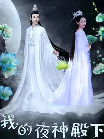 润玉同人：我的夜神殿下