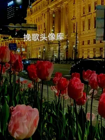挽歌头像库