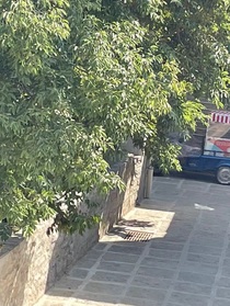 瑄