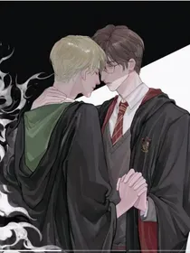 哈利：我不是黑魔王