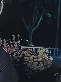 星际大赛