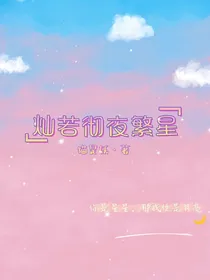 灿若彻夜繁星