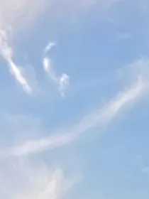 逾矩之后