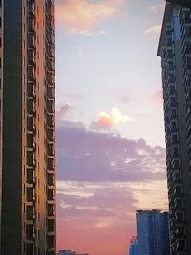 那就岁岁年年（阳光很刺眼）