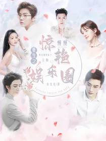 重生之慢慢惊艳娱乐圈