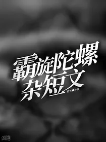 霸旋陀螺杂短文