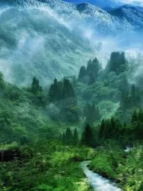 特种兵学校之丛林中的枪口