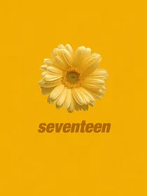 seventeen短篇同人合集