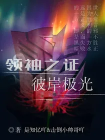 领袖之证：彼岸极光