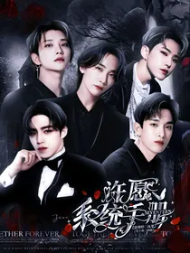 SEVENTEEN：许愿系统手册