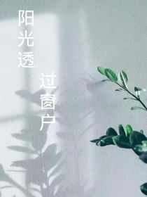 阳光透过窗户