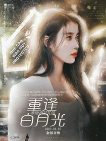 泰版流星花园：重逢白月光