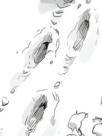 就算是蜗牛也可以谈恋爱