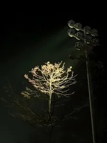 我们的悸动时代