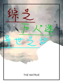 综之万人迷异世之旅
