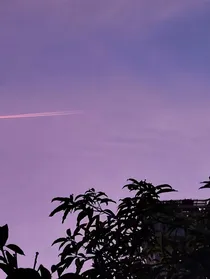 秀逗