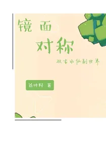 镜面对称