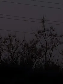 ……小虐文……-d004
