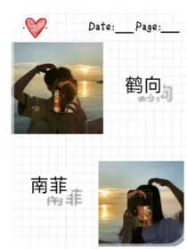 鹤向南菲